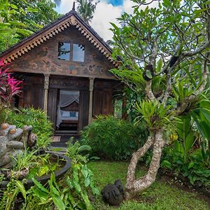 Cottage Garden View